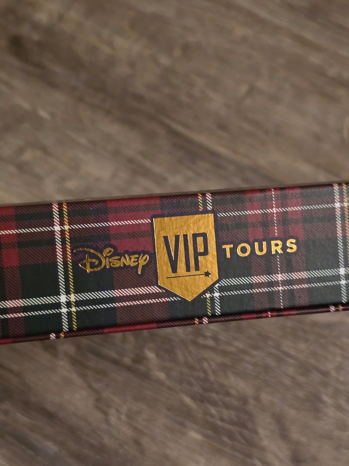 Disney VIP Tours Pin Set Mickey Plaid Exclusive Walt Disney World park 2025 -new